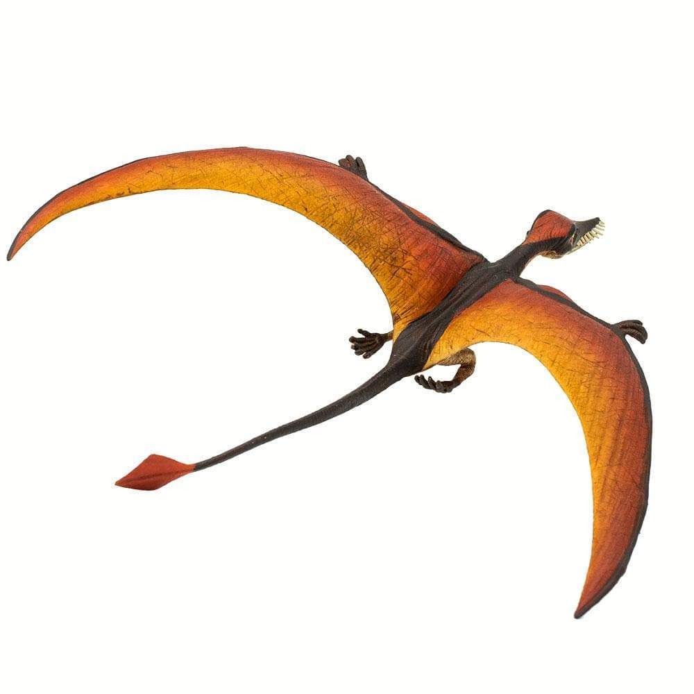 Rhamphorhynchus Toy | Dinosaur Toys | Safari Ltd.