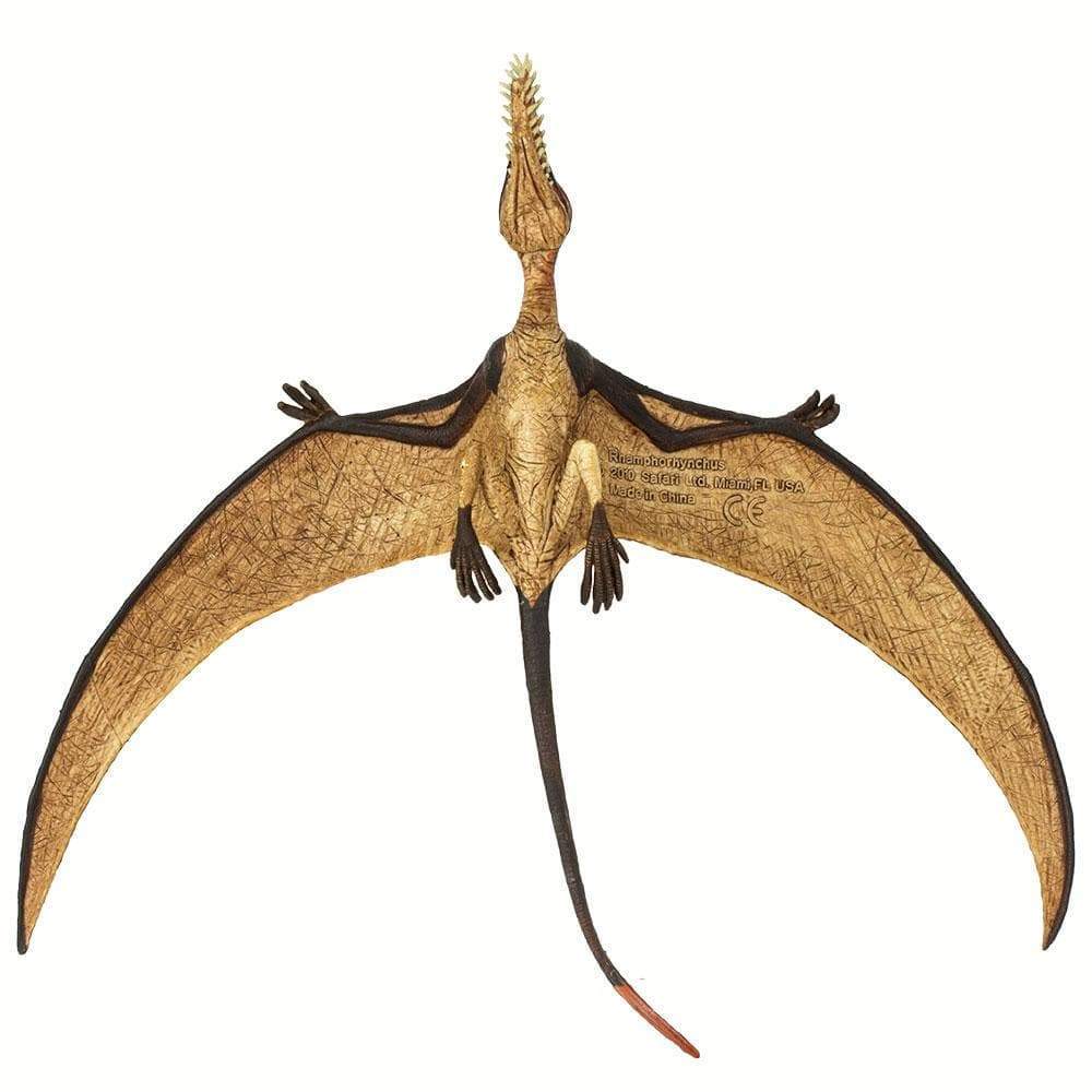 Rhamphorhynchus Toy | Dinosaur Toys | Safari Ltd.