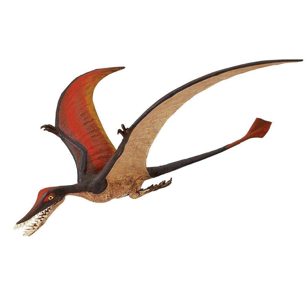 Rhamphorhynchus Toy | Dinosaur Toys | Safari Ltd.