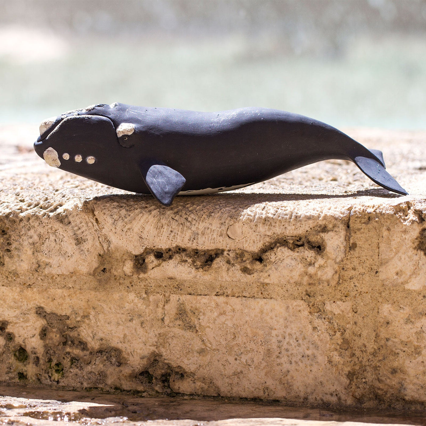 Right Whale Toy - Safari Ltd®