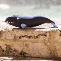 Right Whale Toy - Safari Ltd®