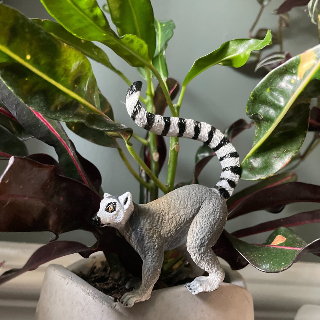 Ring-tailed Lemur Toy - Safari Ltd®