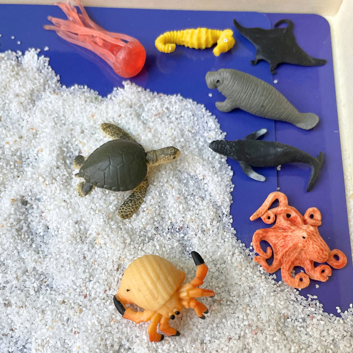 Sea Life Fun Pack - Safari Ltd®