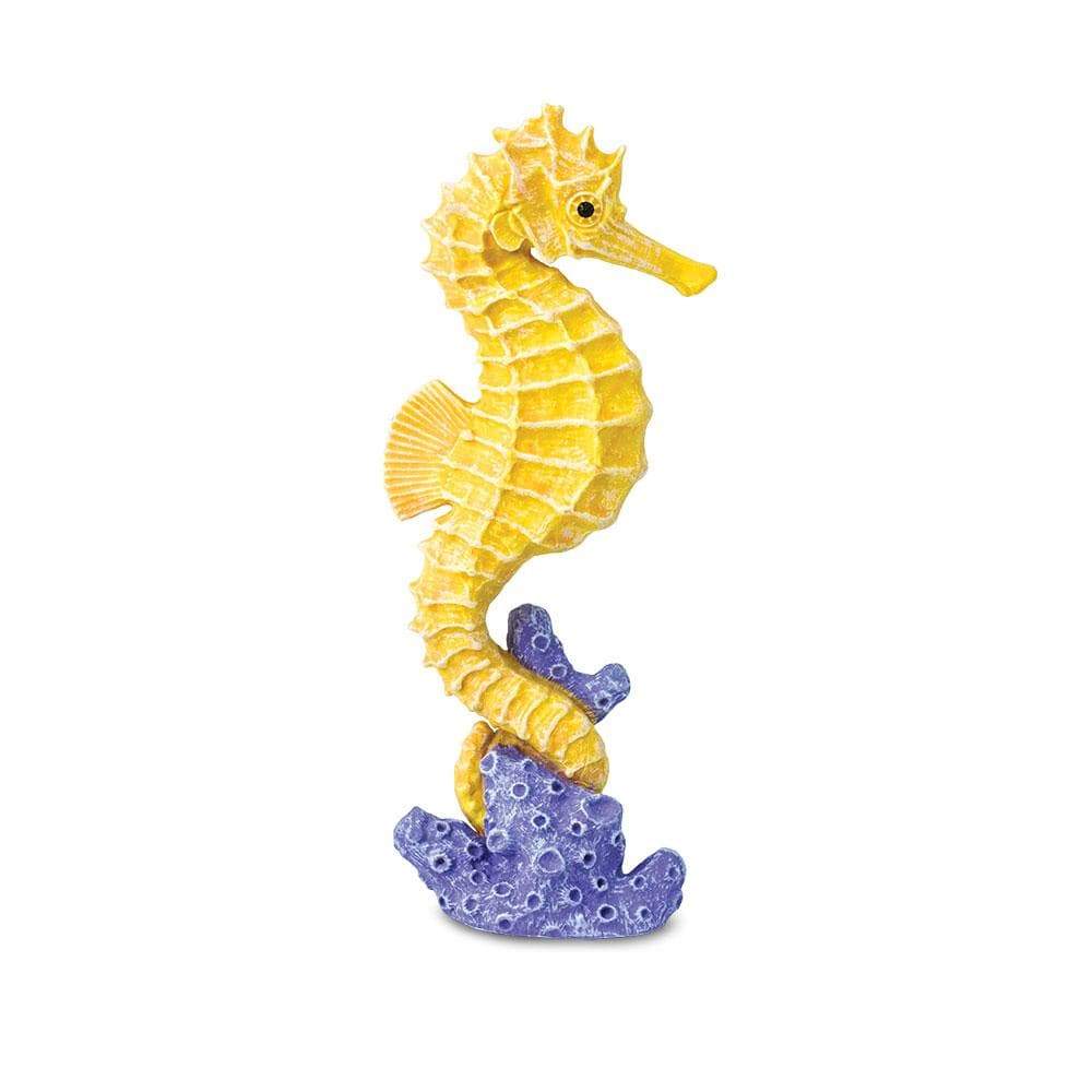 Seahorse - Safari Ltd®