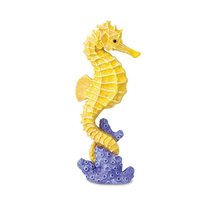 Seahorse - Safari Ltd®