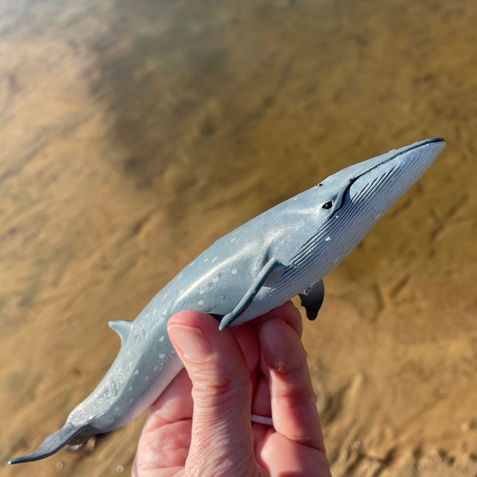 Sei Whale Toy - Safari Ltd®