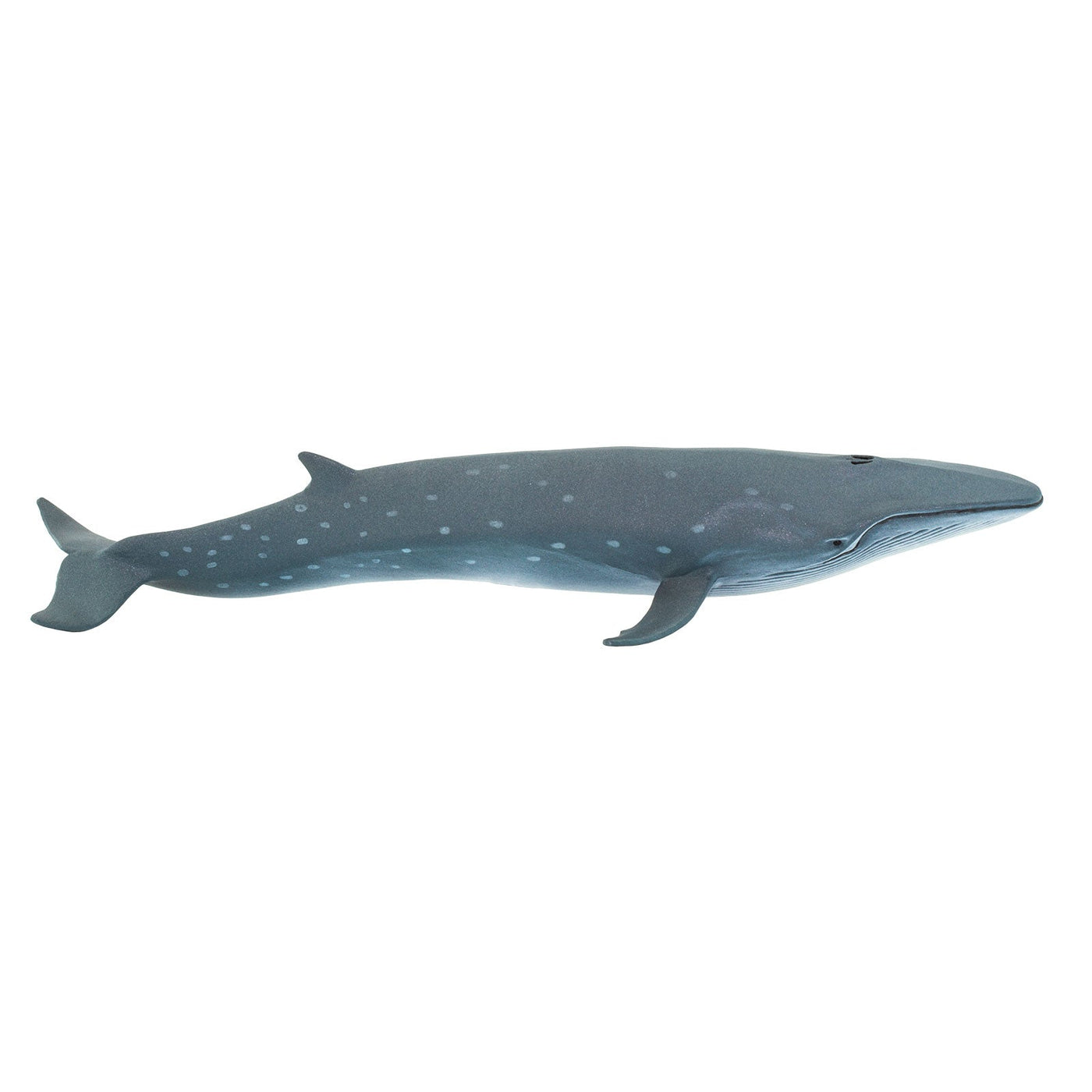 Sei Whale Toy - Safari Ltd®