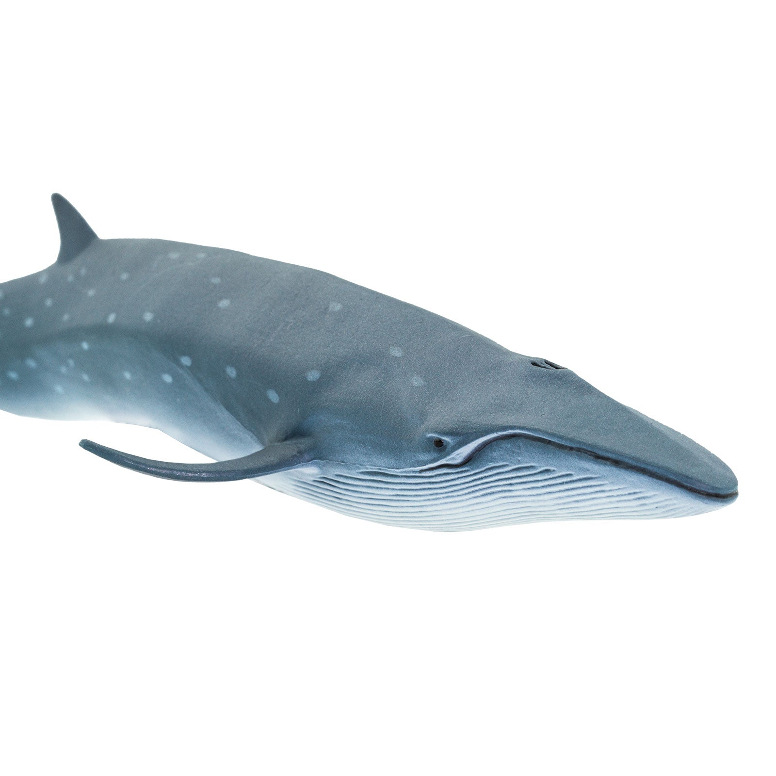 Sei Whale Toy - Safari Ltd®