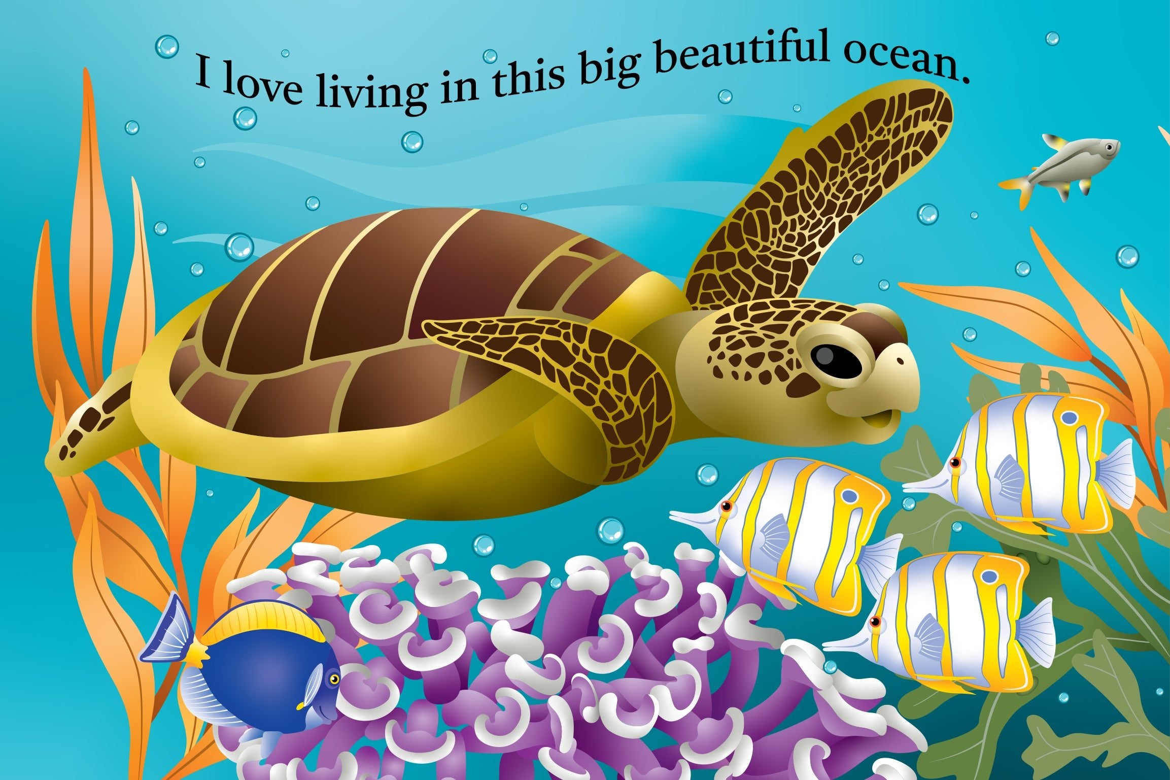 Shana the Sea Turtle Board Book - Safari Ltd®