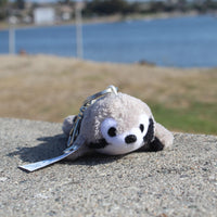 Shore Buddies Sammy the Seal Keychain - Safari Ltd®