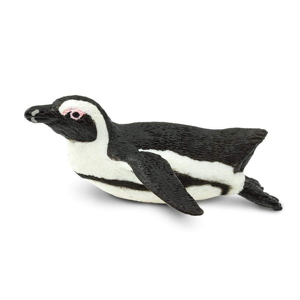 South African Penguin Toy - Sea Life Toys by Safari Ltd.