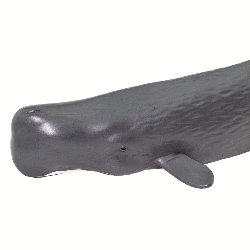 Sperm Whale Toy - Sea Life Toys by Safari Ltd.