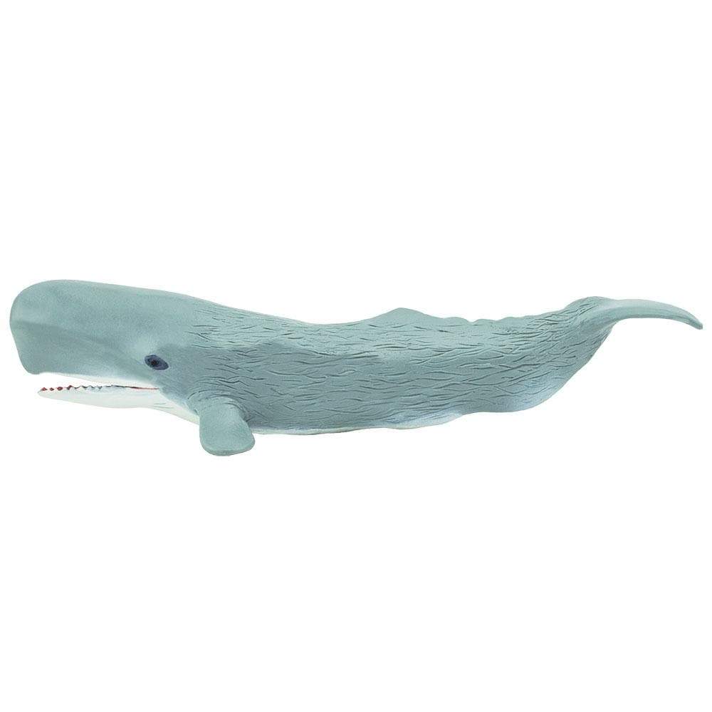 Sperm Whale Toy - Sea Life Toys by Safari Ltd.