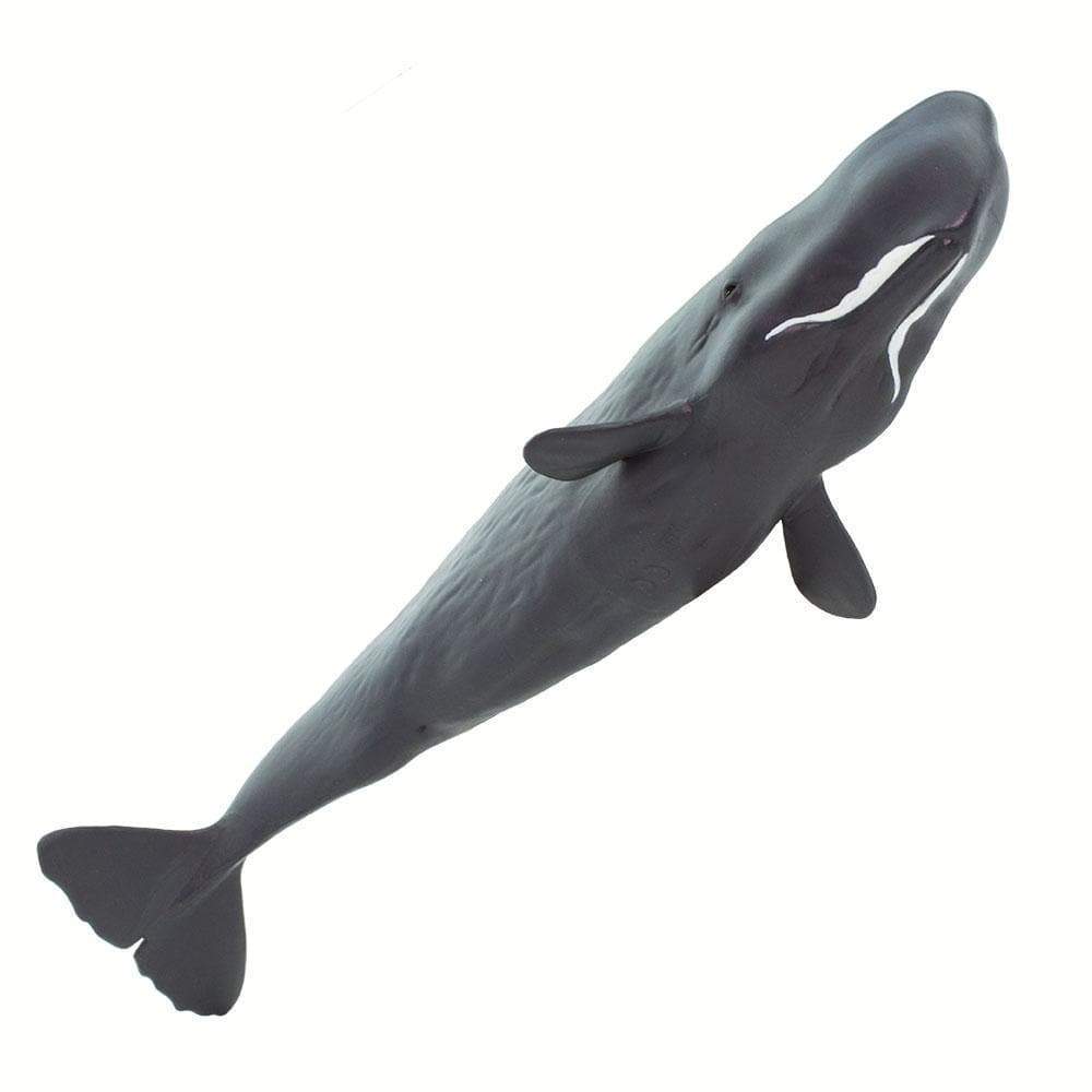 Sperm Whale Toy - Sea Life Toys by Safari Ltd.