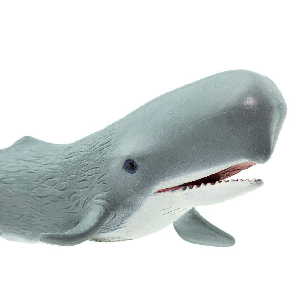 Sperm Whale Toy - Sea Life Toys by Safari Ltd.