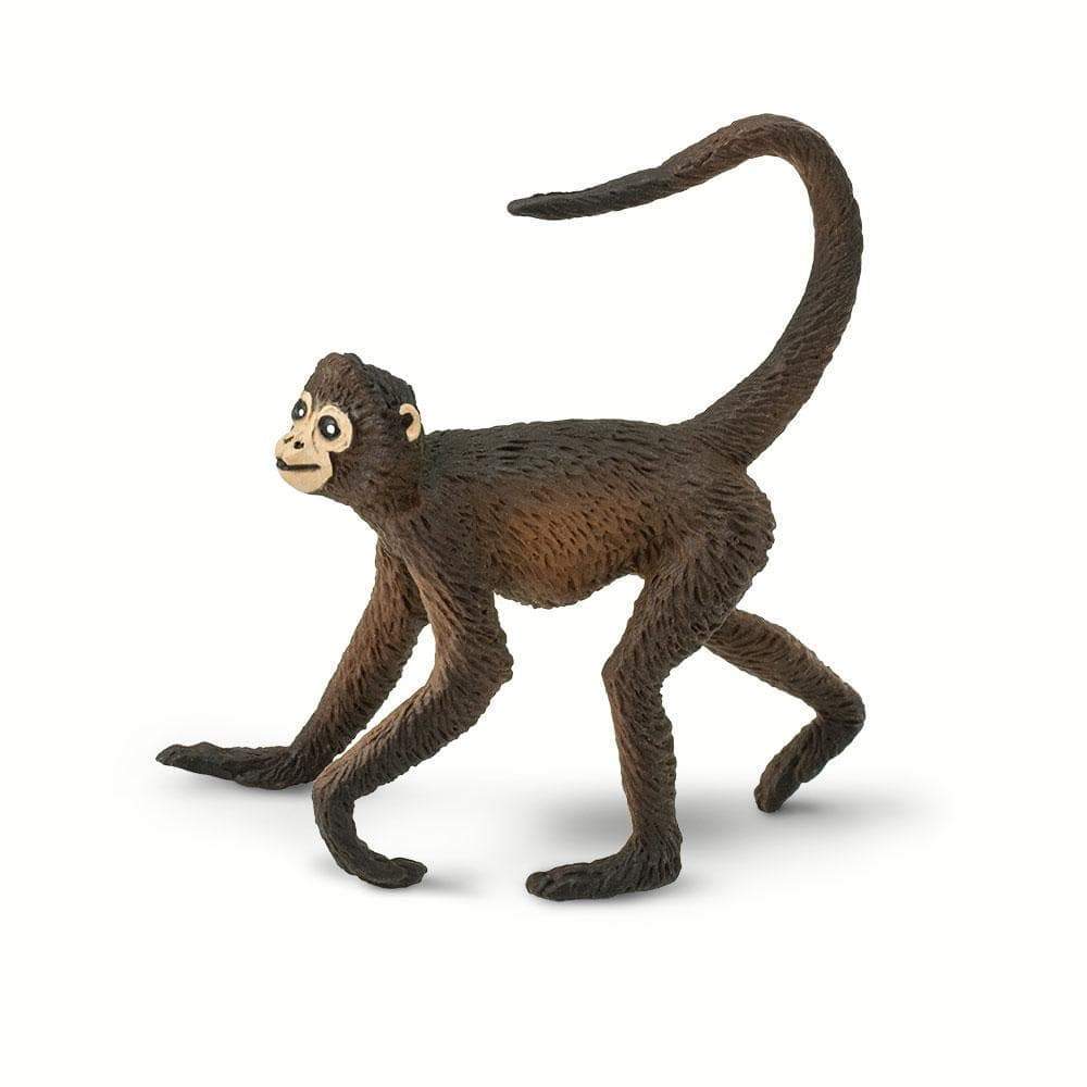 Spider Monkey - Safari Ltd®