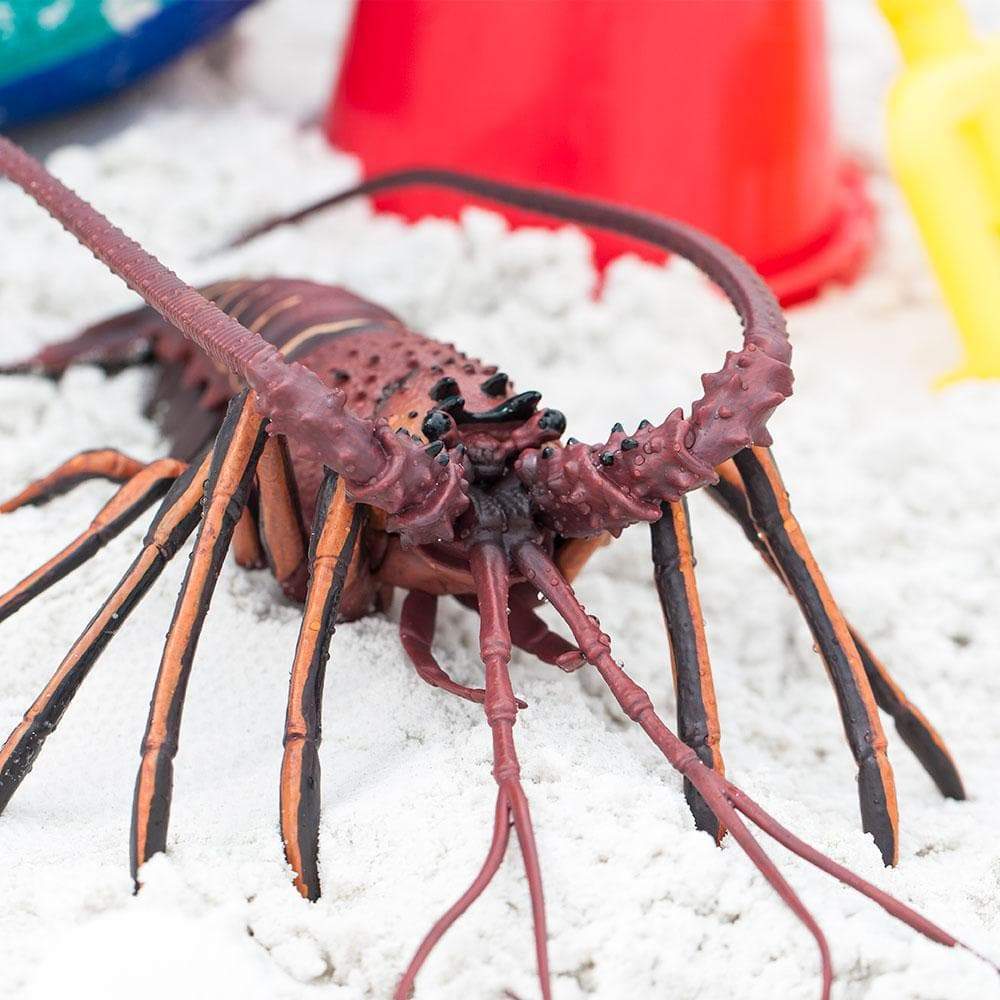 Spiny Lobster - Safari Ltd®