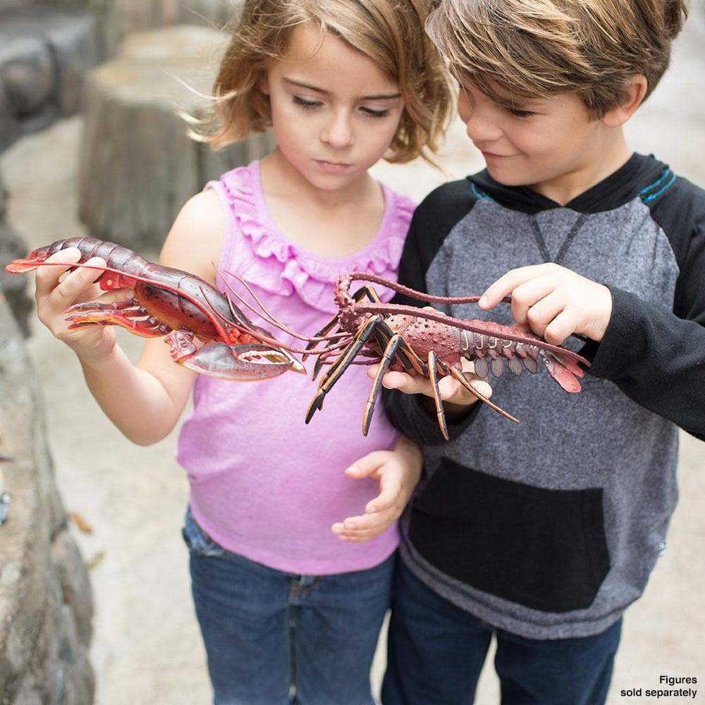 Spiny Lobster - Safari Ltd®