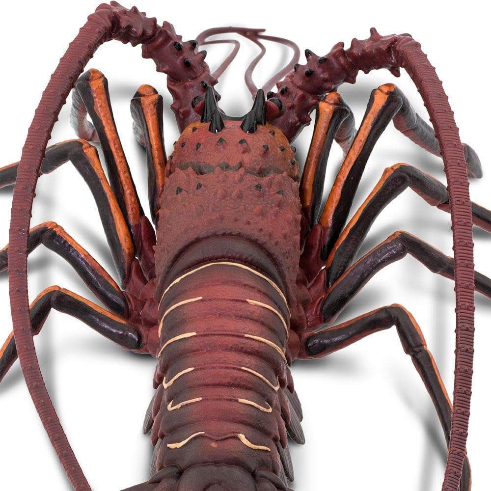 Spiny Lobster - Safari Ltd®