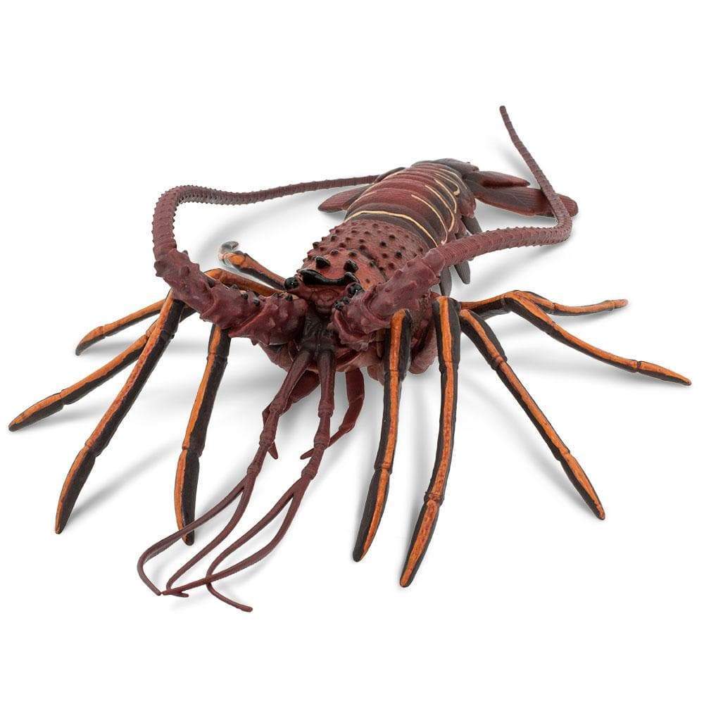 Spiny Lobster - Safari Ltd®