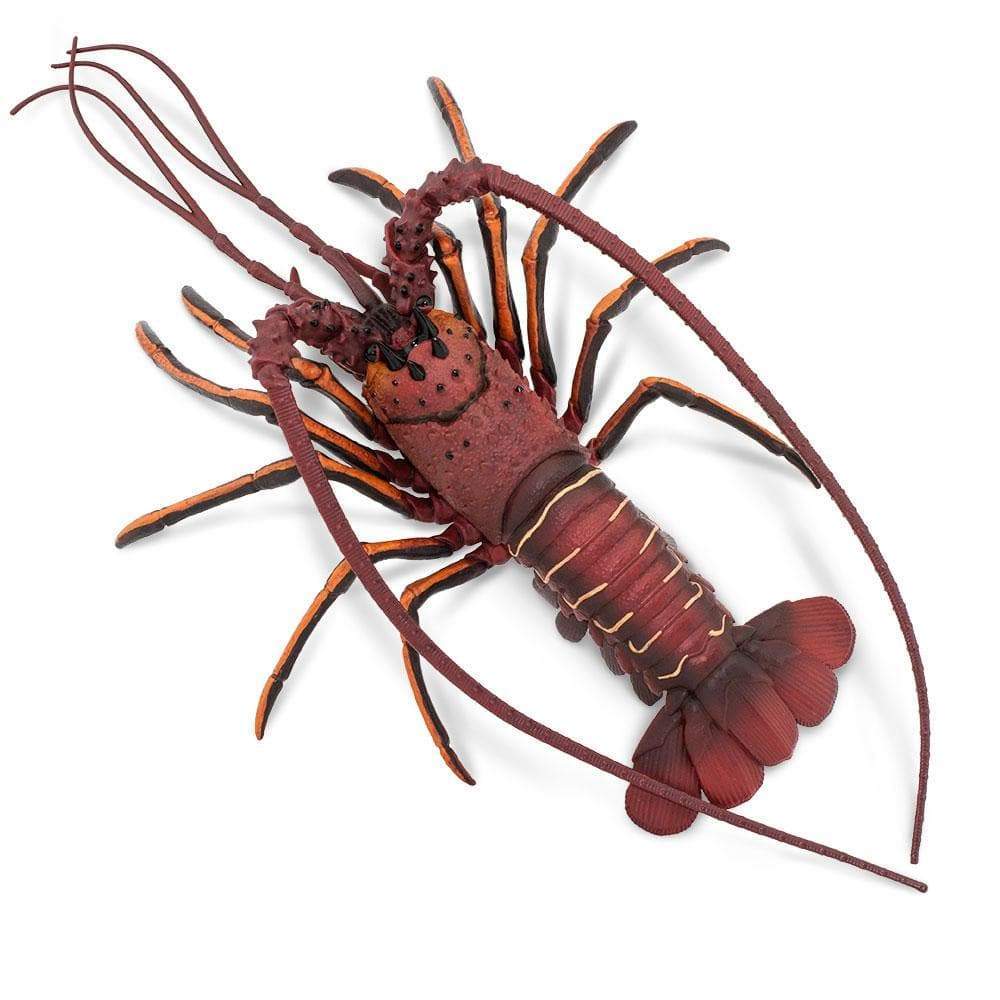 Spiny Lobster - Safari Ltd®