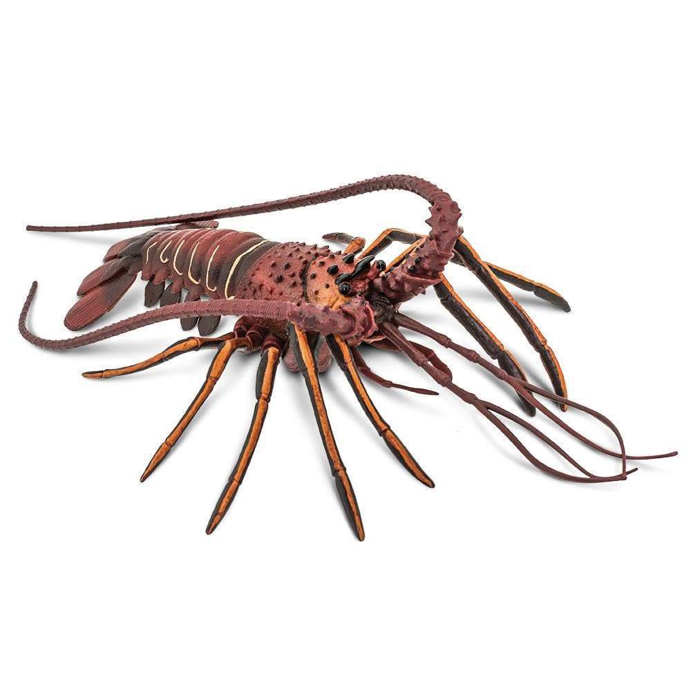 Spiny Lobster - Safari Ltd®