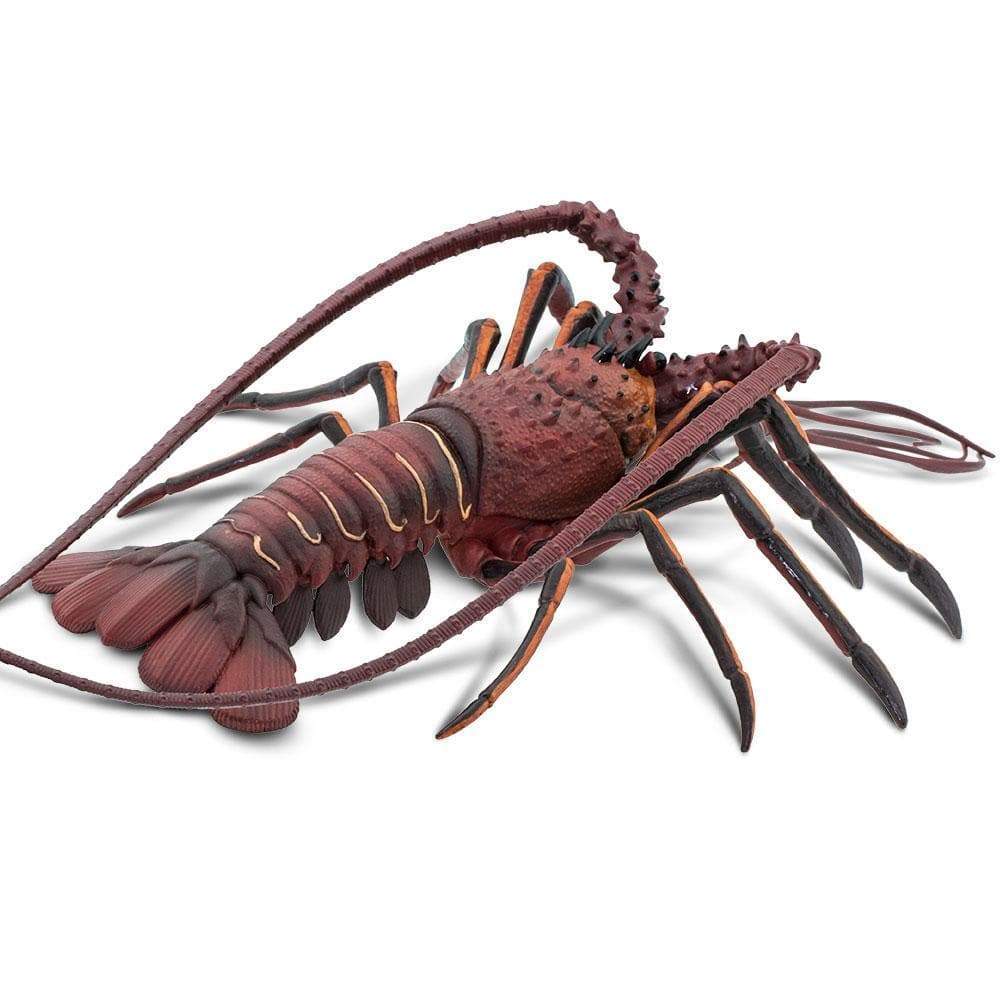 Spiny Lobster - Safari Ltd®