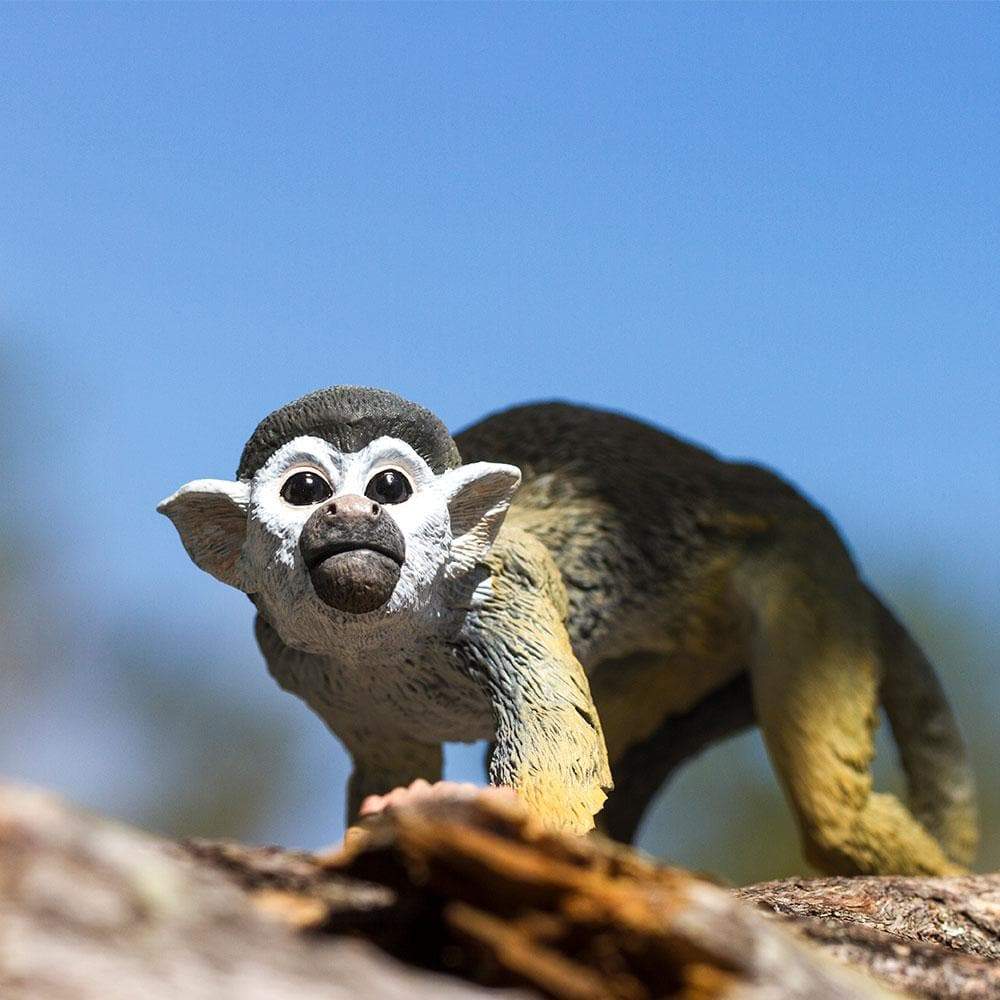 Squirrel Monkey - Safari Ltd®