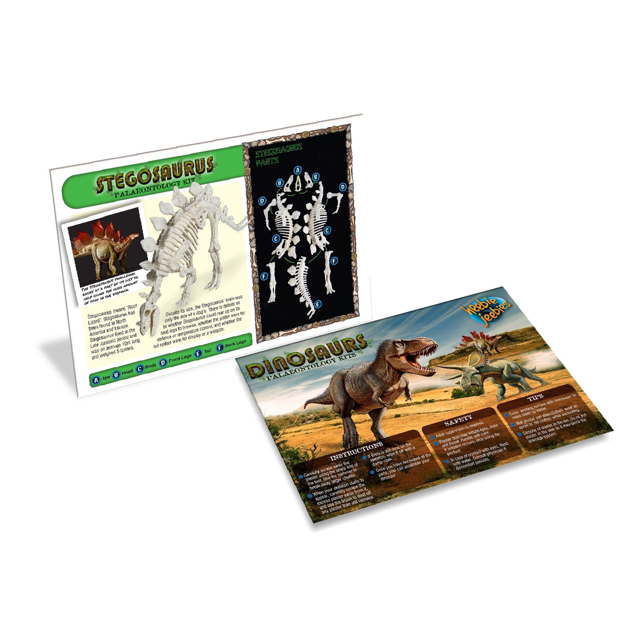 Stegosaurus Paleontology Kit - Safari Ltd®