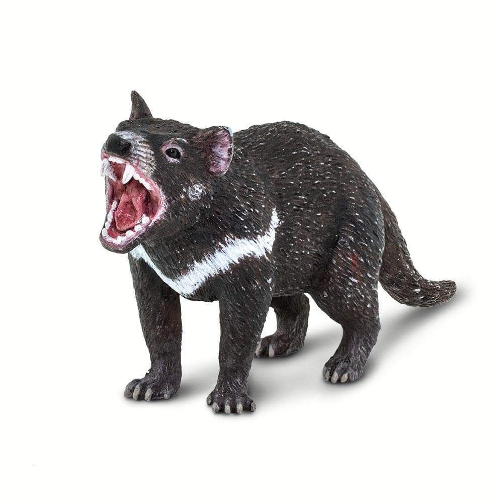 Tasmanian Devil - Safari Ltd®