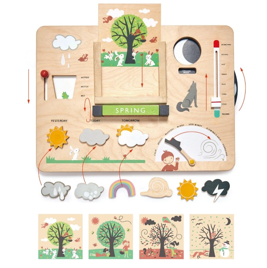 Tender Leaf Toys Weather Watch - Safari Ltd®