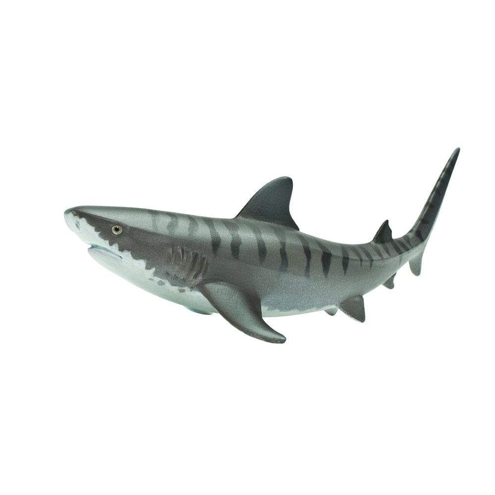 Tiger Shark Toy - Sea Life Toys by Safari Ltd.