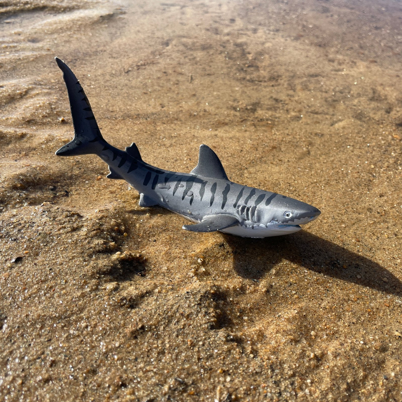 Tiger Shark Toy - Safari Ltd®