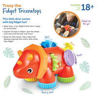 Tracy the Fidget Triceratops - Safari Ltd®