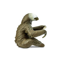 Two-Toed Sloth Toy | Wildlife Animal Toys | Safari Ltd.