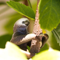 Two-Toed Sloth Toy | Wildlife Animal Toys | Safari Ltd.