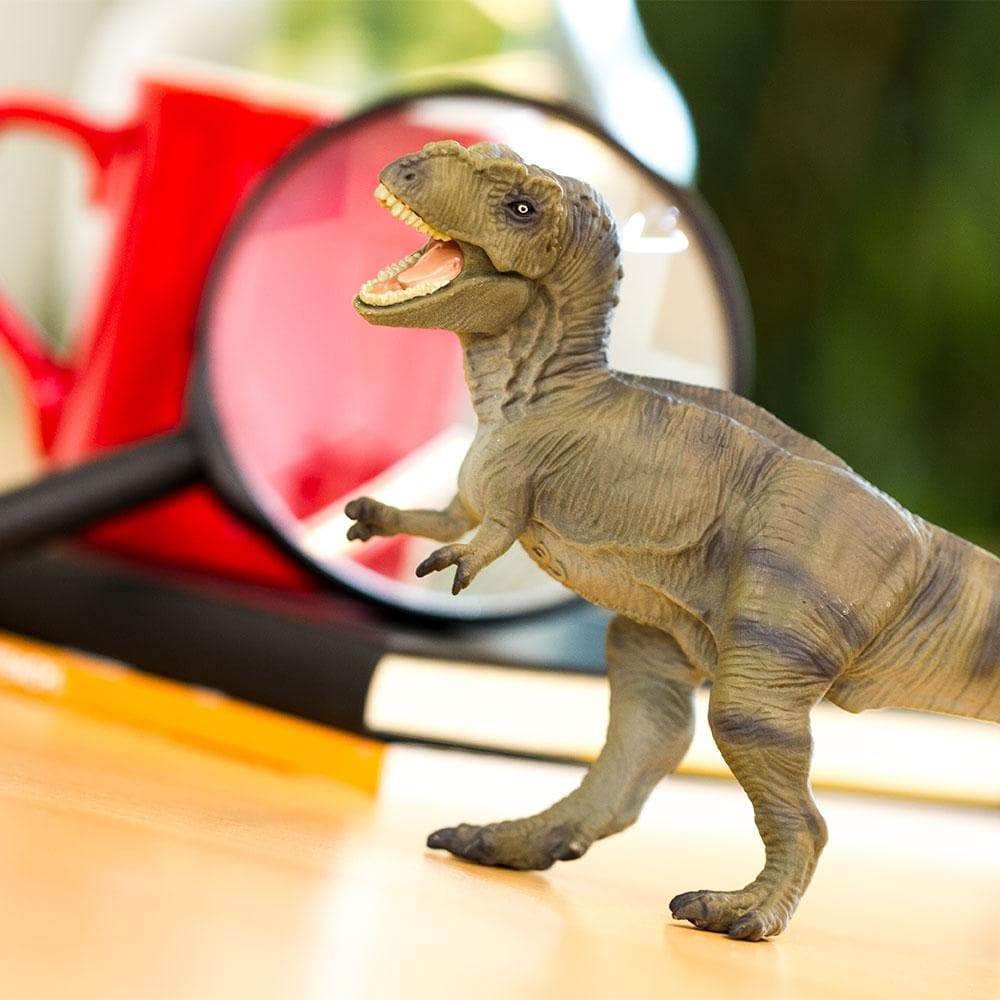 Tyrannosaurus Rex Toy | Dinosaur Toys | Safari Ltd.