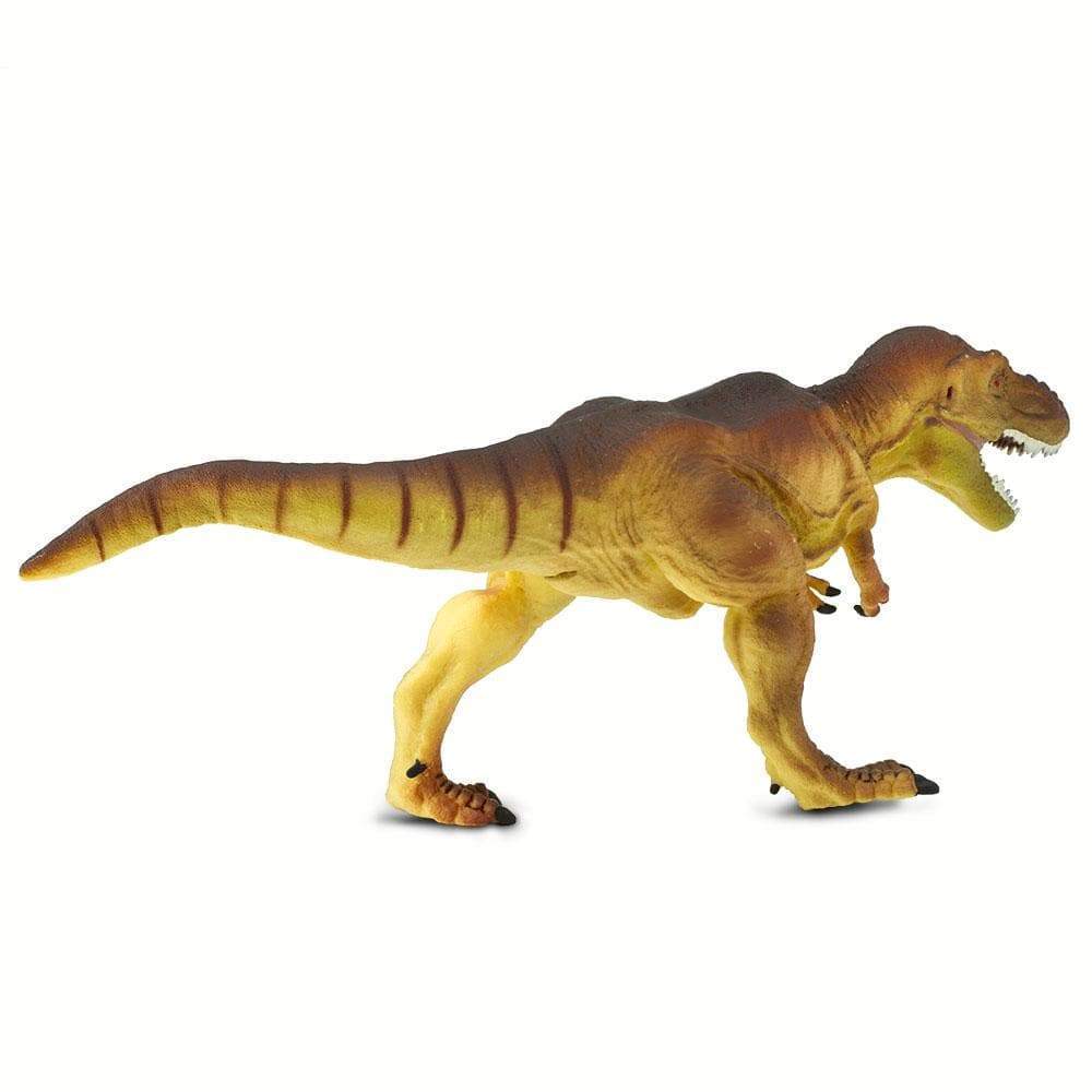 Tyrannosaurus Rex Toy | Dinosaur Toys | Safari Ltd.