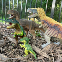 Tyrannosaurus Rex Figure - Safari Ltd®