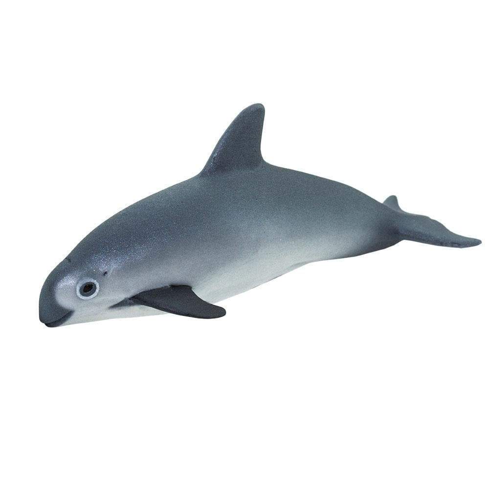 Vaquita Porpoise Toy - Sea Life Toys by Safari Ltd.