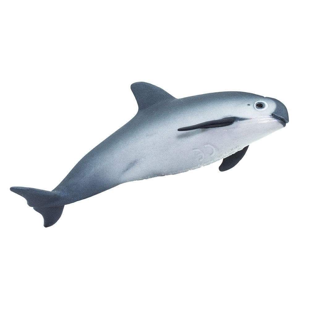 Vaquita Porpoise Toy - Sea Life Toys by Safari Ltd.