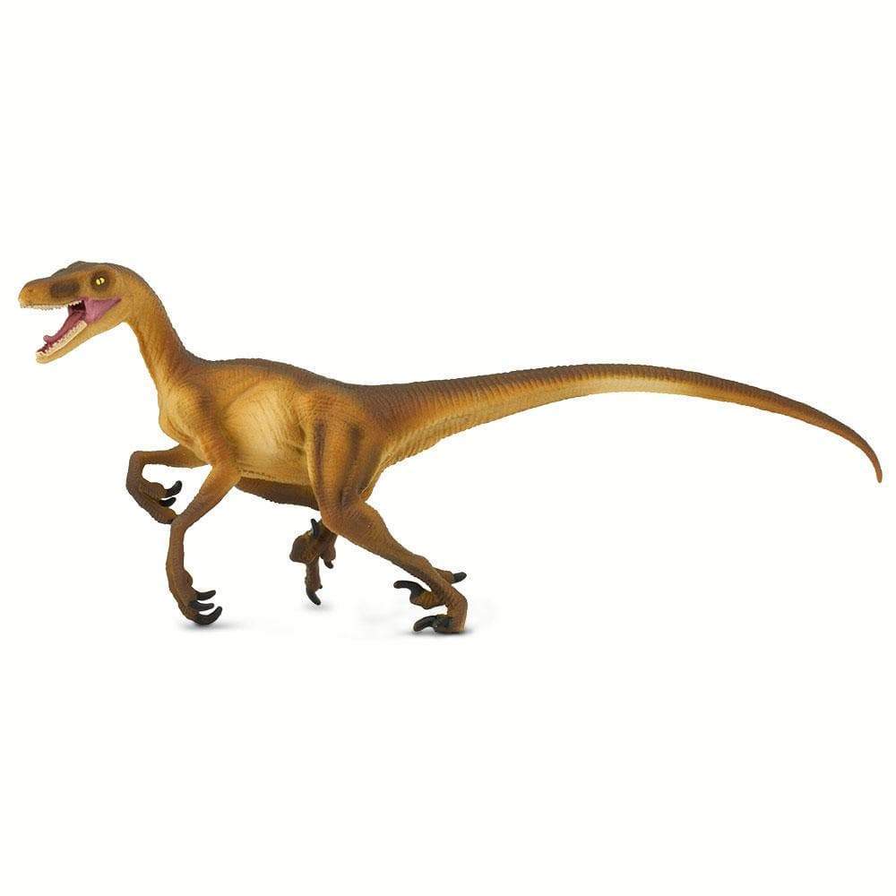 Velociraptor Toy | Dinosaur Toys | Safari Ltd.