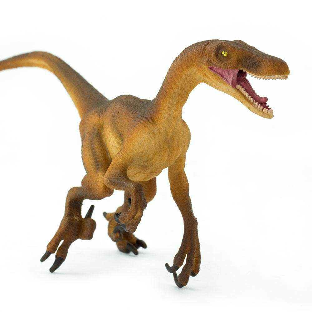 Velociraptor Toy | Dinosaur Toys | Safari Ltd.