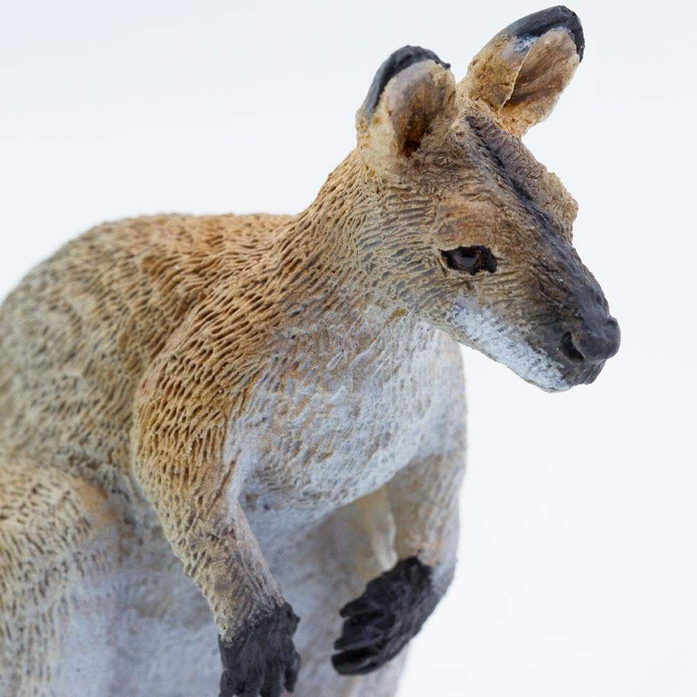 Wallaby Toy | Wildlife Animal Toys | Safari Ltd.