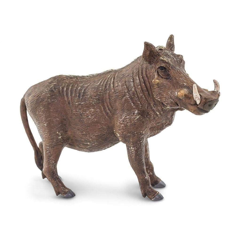 Warthog Toy - Safari Ltd®