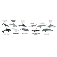 Whales and Dolphins Bulk Bag - Safari Ltd®