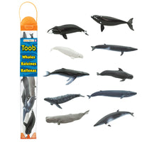 Whales TOOB® - Safari Ltd®