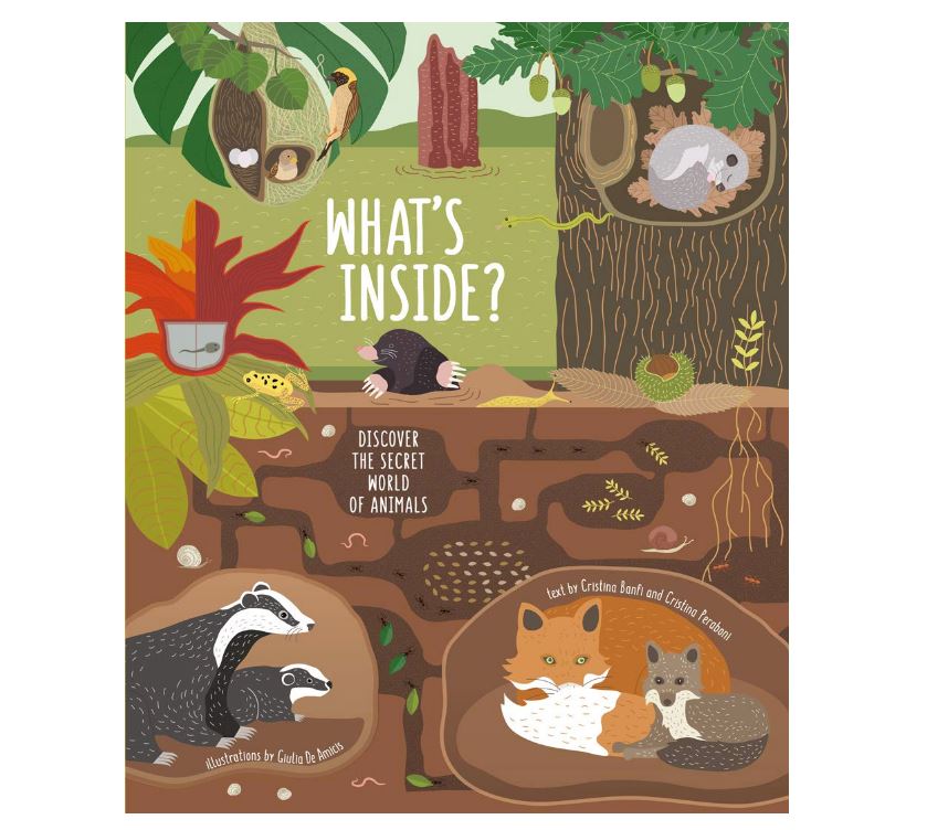 What's Inside: Discover the Secret World of Animals Book - Safari Ltd®