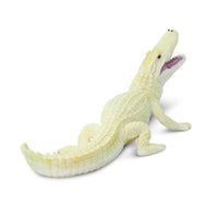 White Alligator Toy | Wildlife Animal Toys | Safari Ltd.