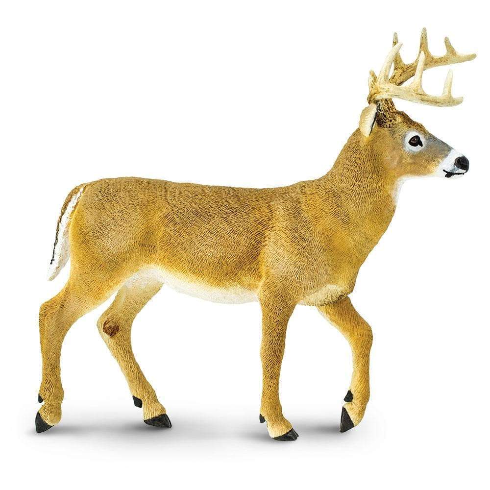 Whitetail Buck Toy | Wildlife Animal Toys | Safari Ltd.